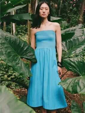 Aritzia Babaton Fluid Strapless Dress